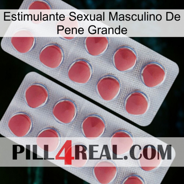 Big Penis Male Sexual Stimulant 19